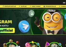 Holeyy Slot Oyunları